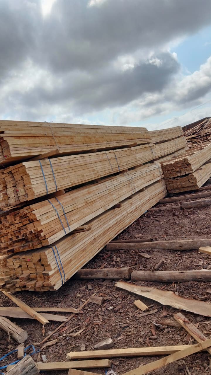 Timber at the yard — photo 01