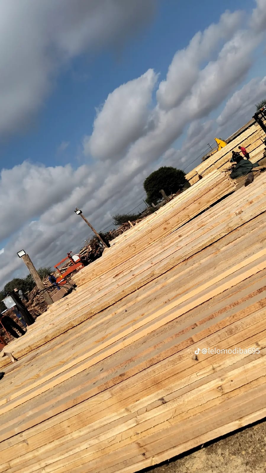 Timber at the yard — photo 02