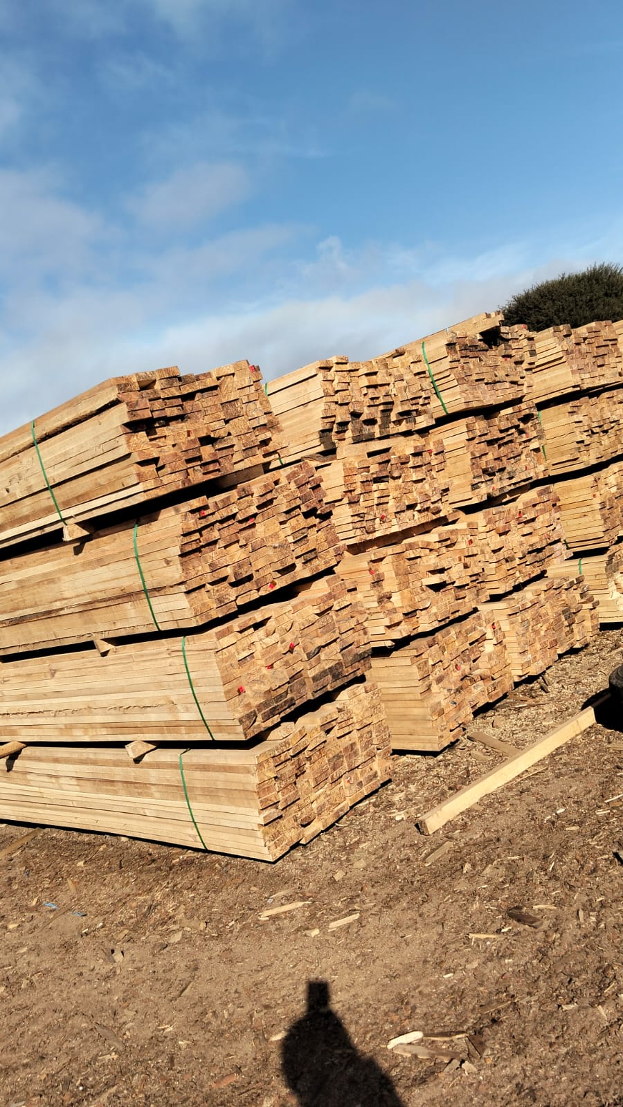 Timber at the yard — photo 03