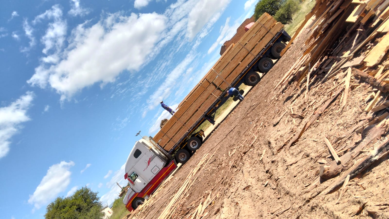 Timber on the move — photo 04