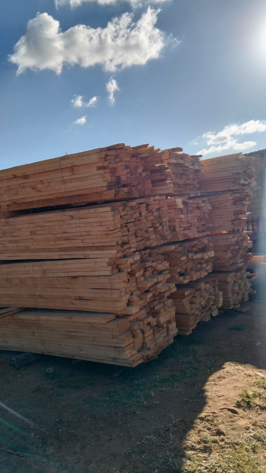 Timber at the yard — photo 06