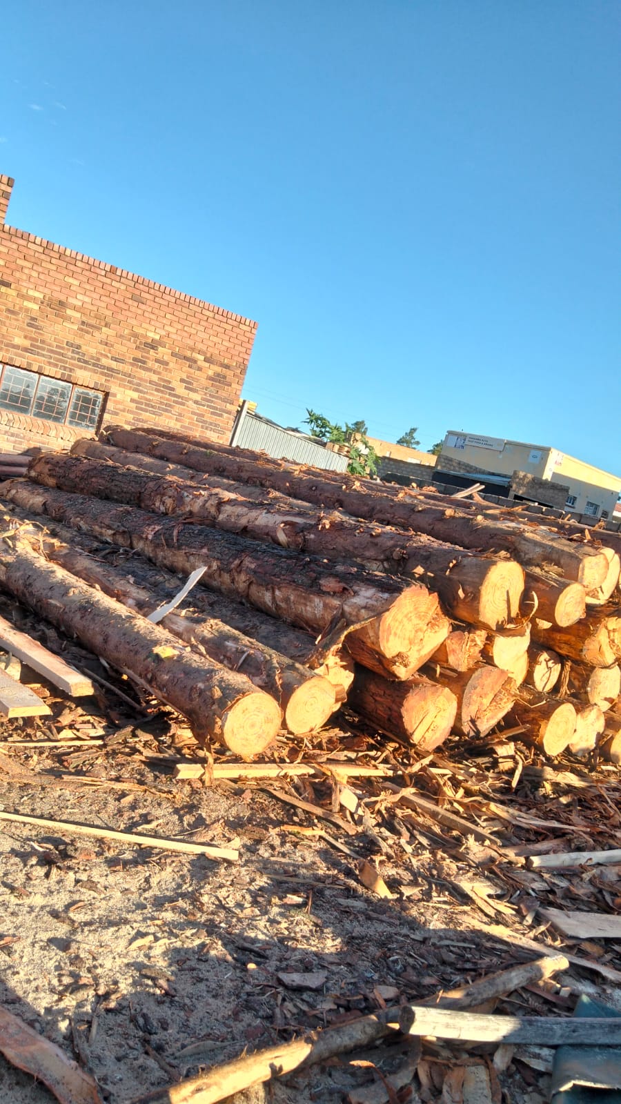 Timber at the yard — photo 07