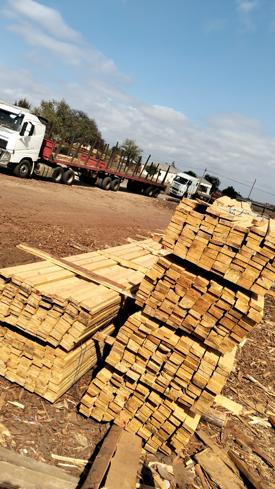 Timber at the yard — photo 08