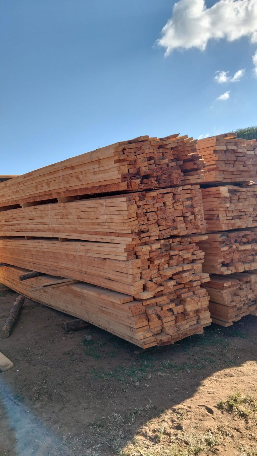 Timber at the yard — photo 10