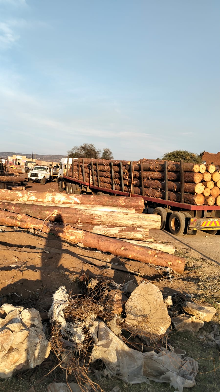 Timber on the move — photo 11