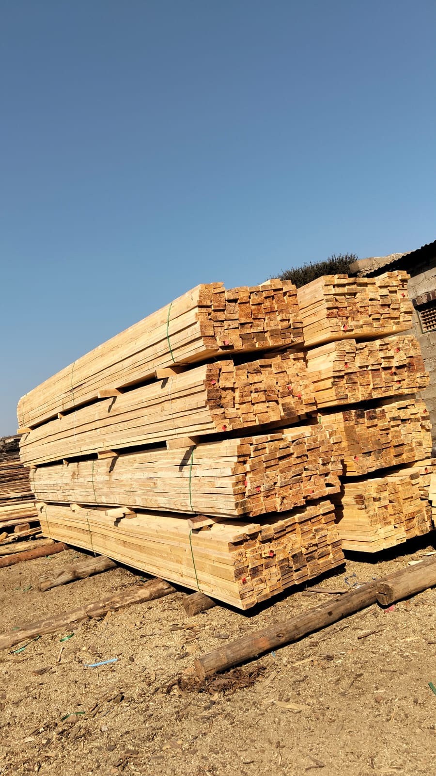 Timber at the yard — photo 12