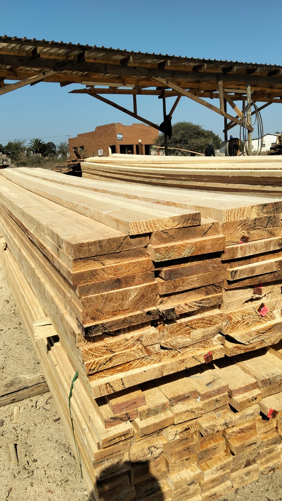 Timber at the yard — photo 13