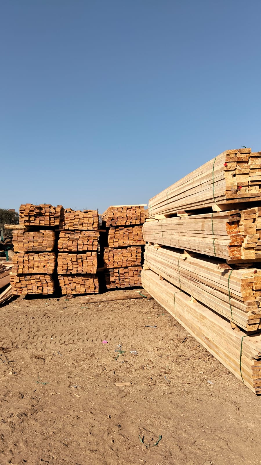 Timber at the yard — photo 14