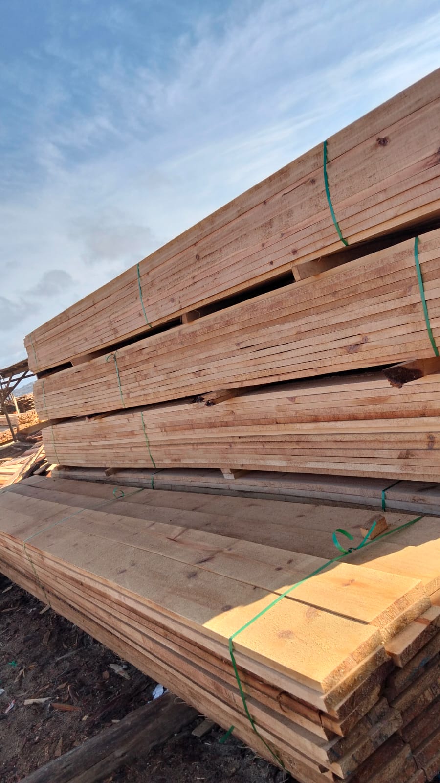 Timber at the yard — photo 17
