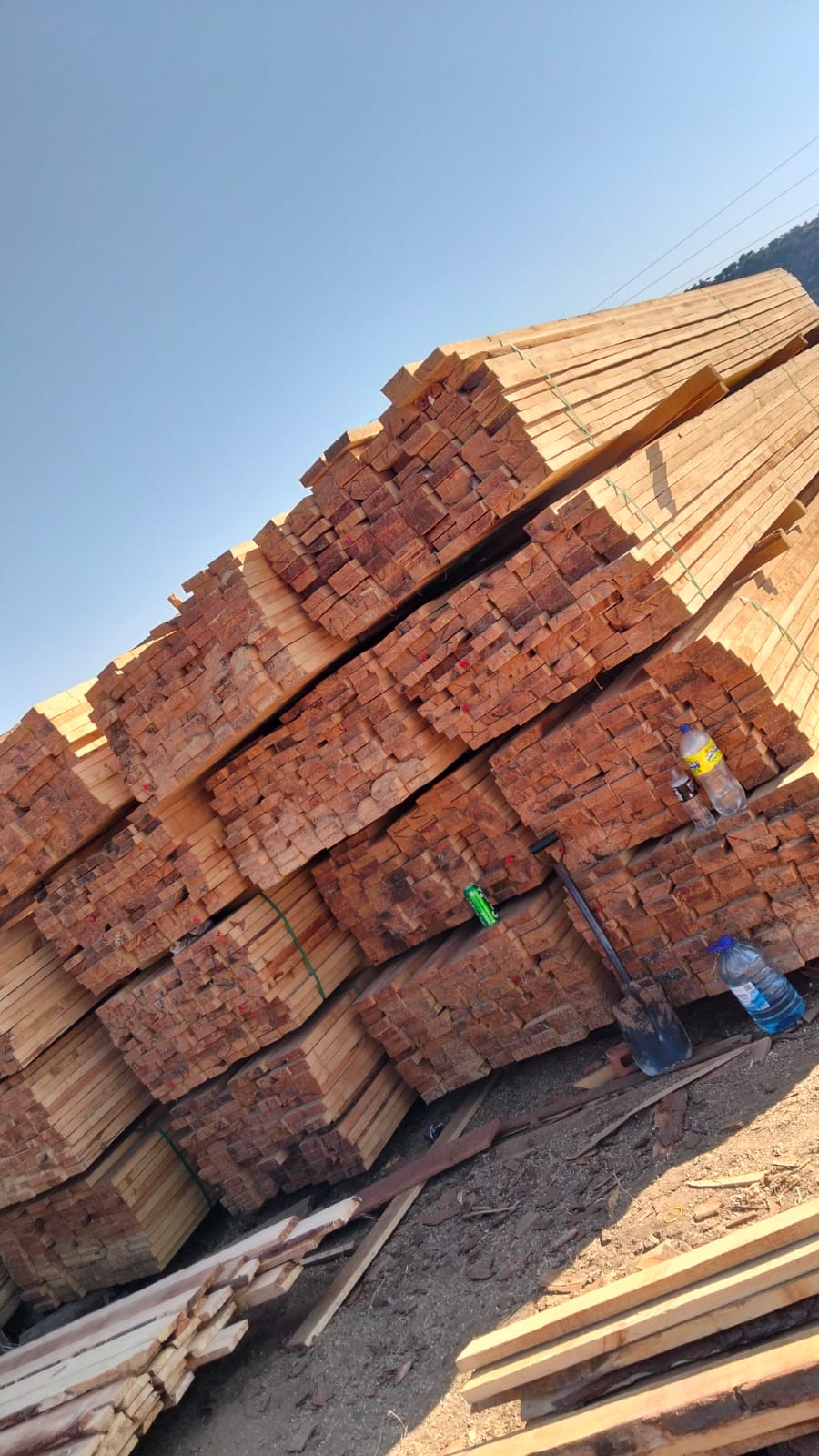 Timber at the yard — photo 18