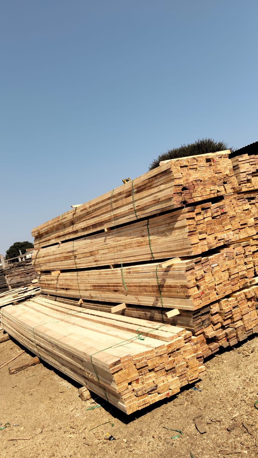 Timber at the yard — photo 19