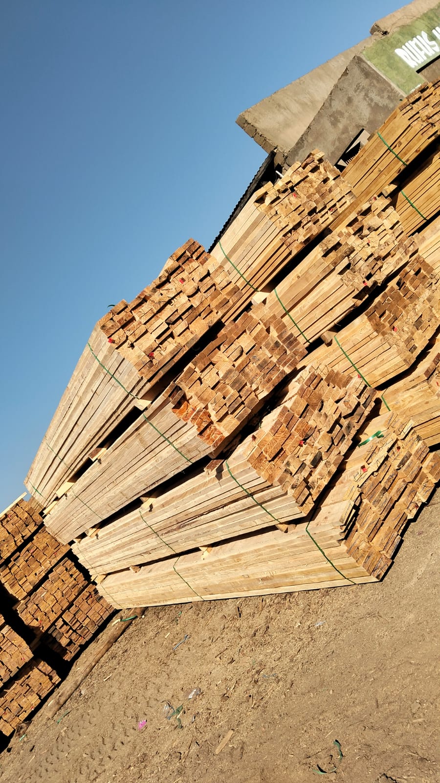 Timber at the yard — photo 20