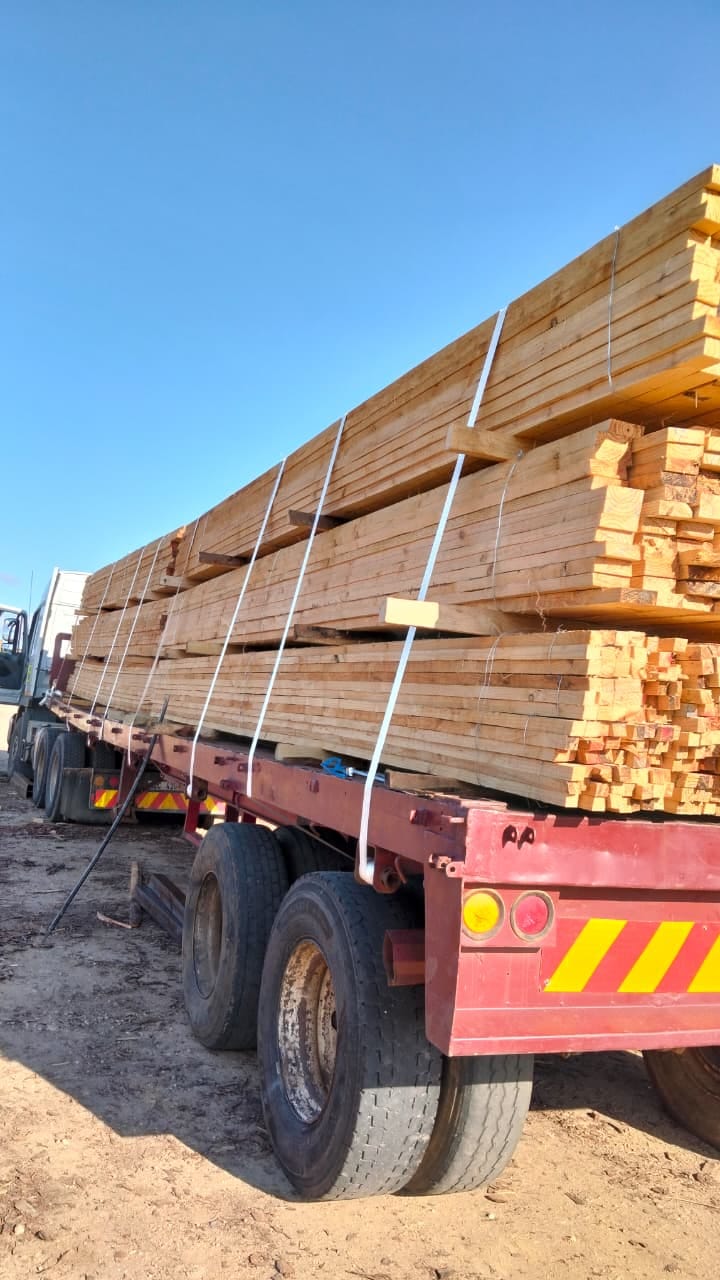 Timber on the move — photo 21