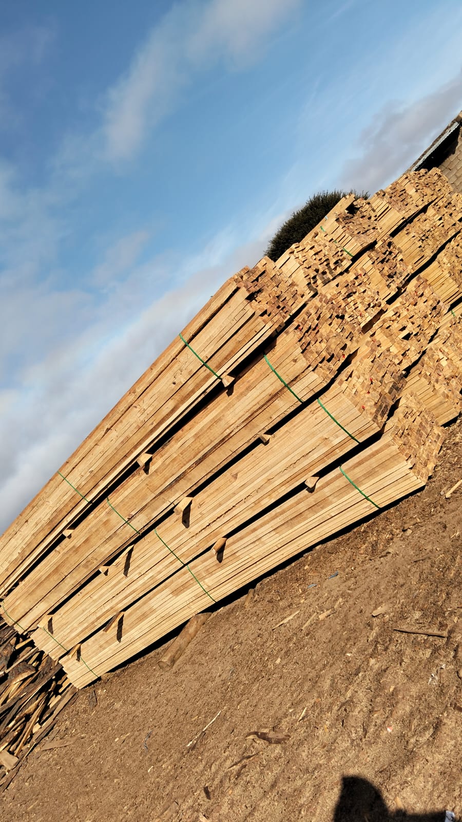 Timber at the yard — photo 23