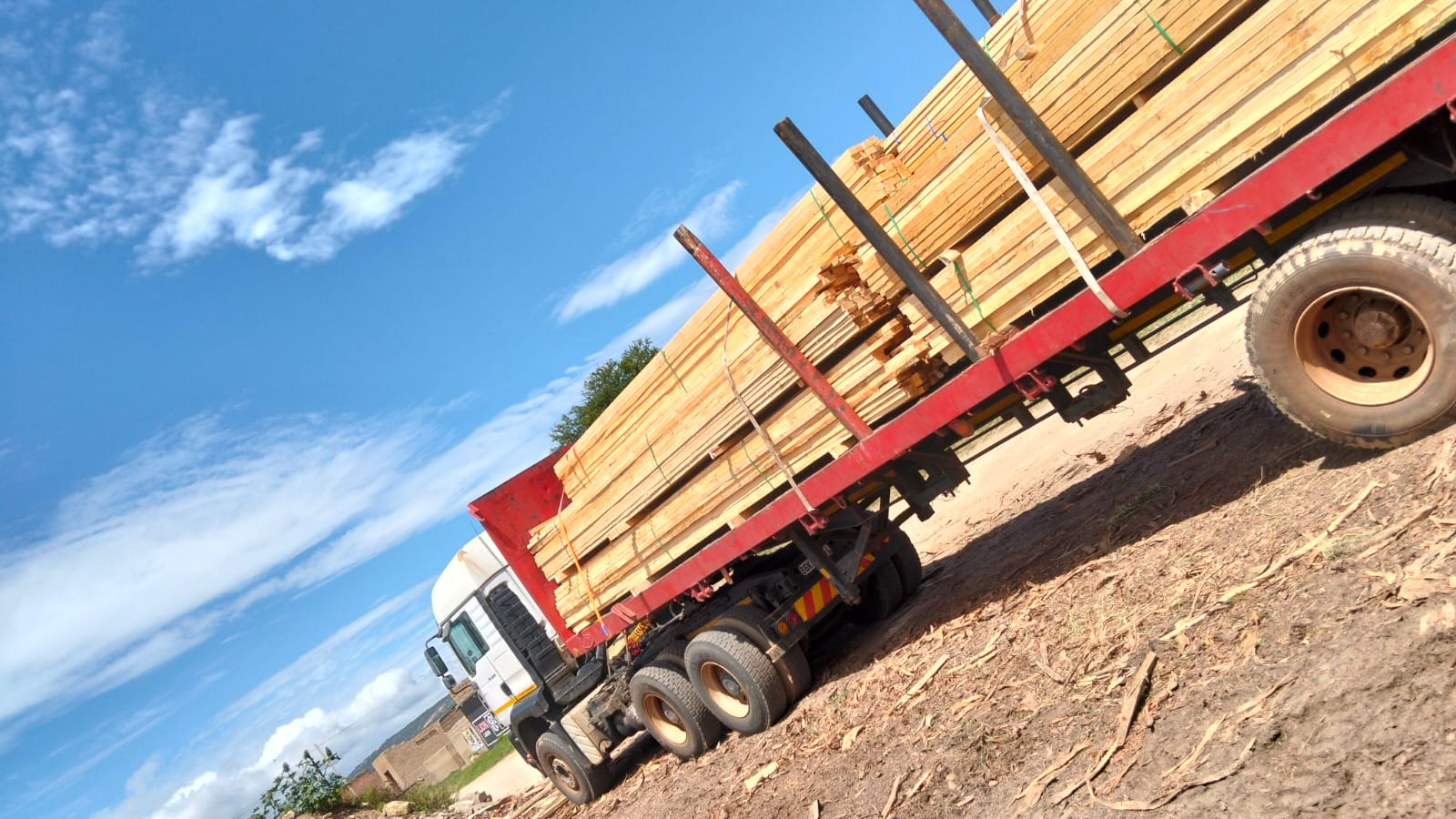 Timber on the move — photo 27