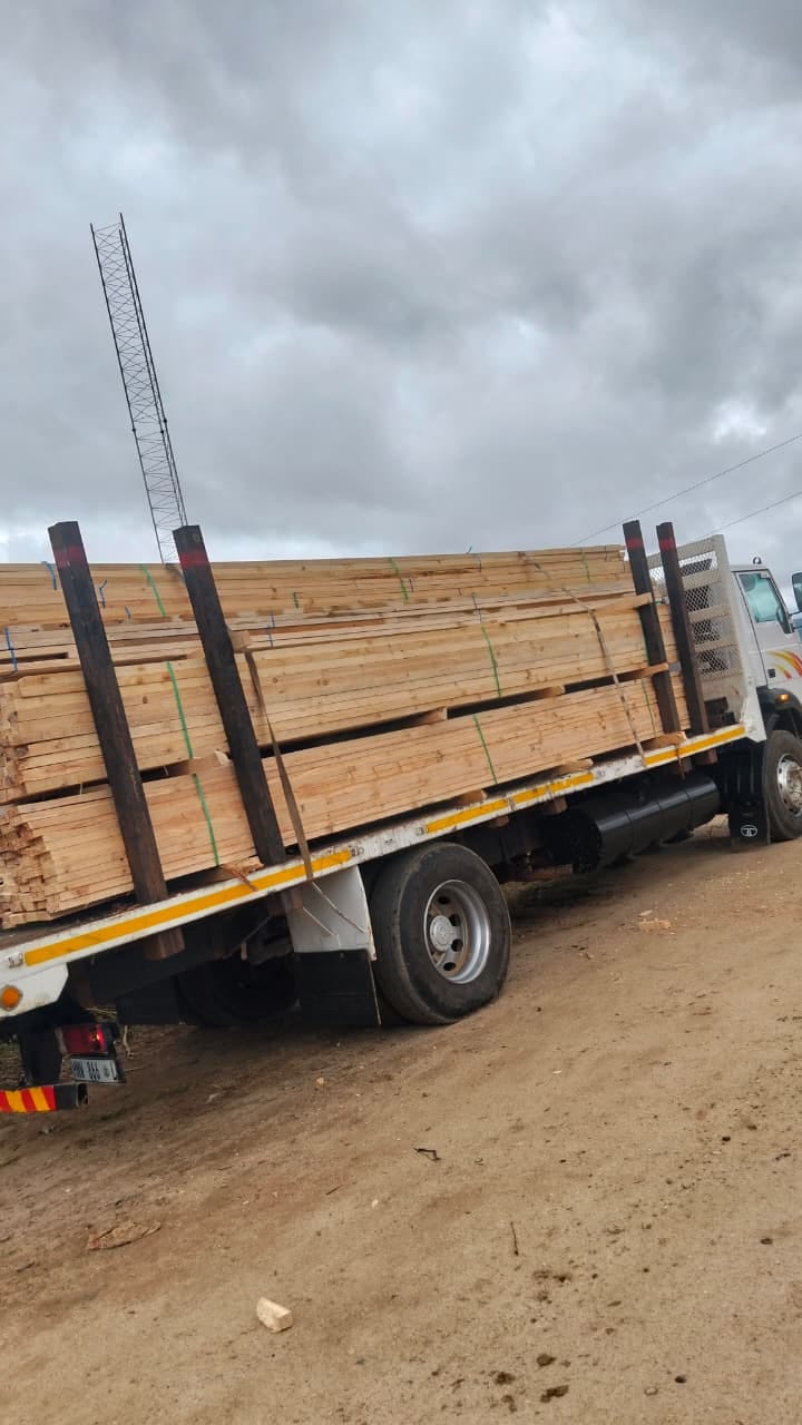 Timber on the move — photo 28