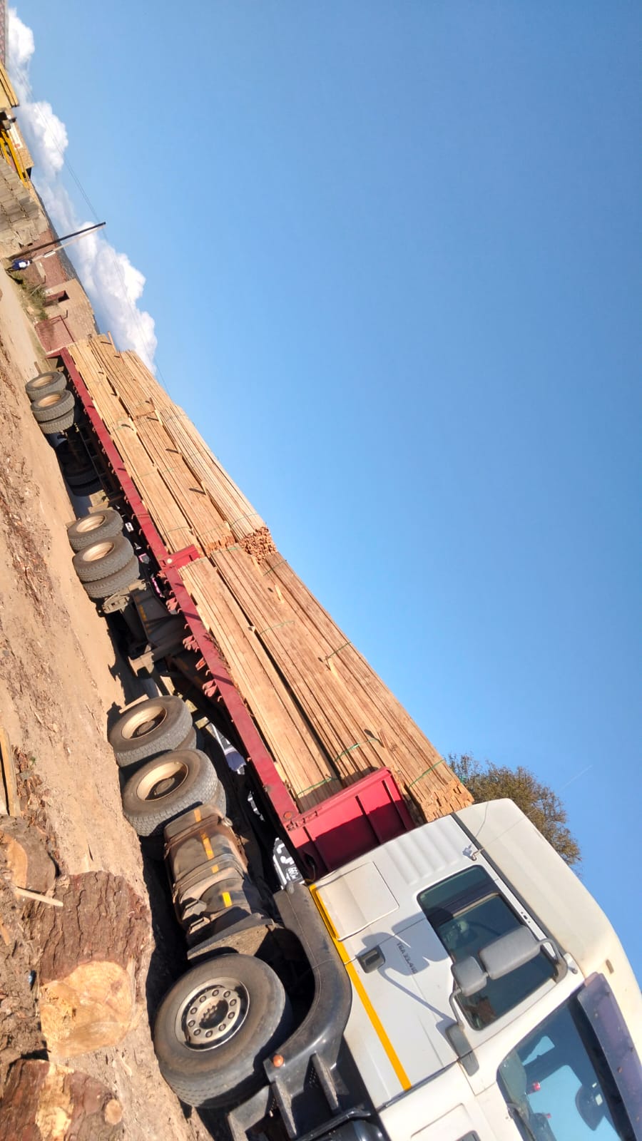 Timber on the move — photo 31