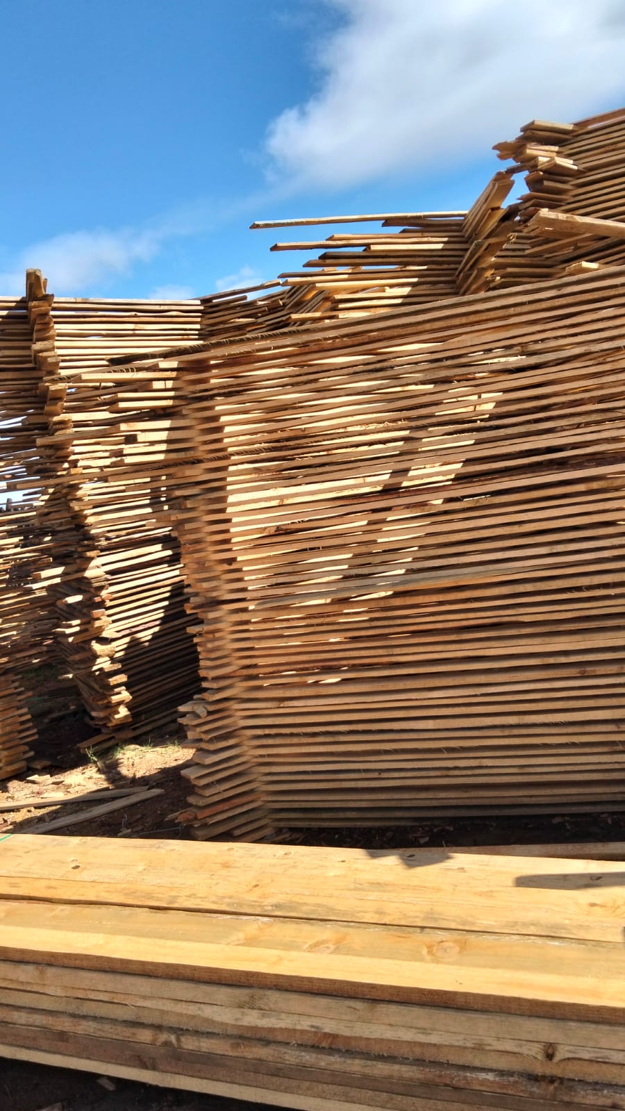 Timber at the yard — photo 34