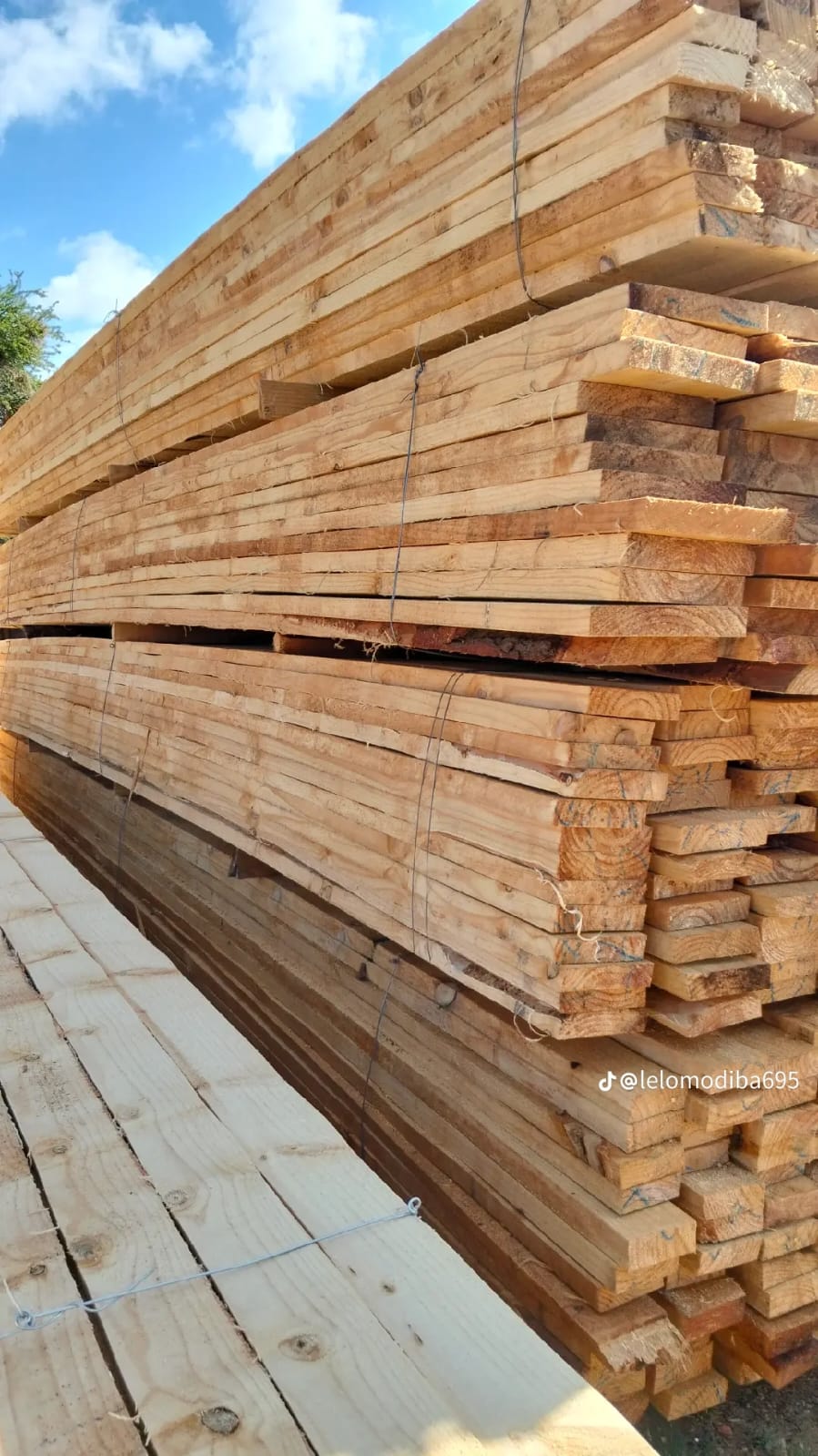 Timber at the yard — photo 35