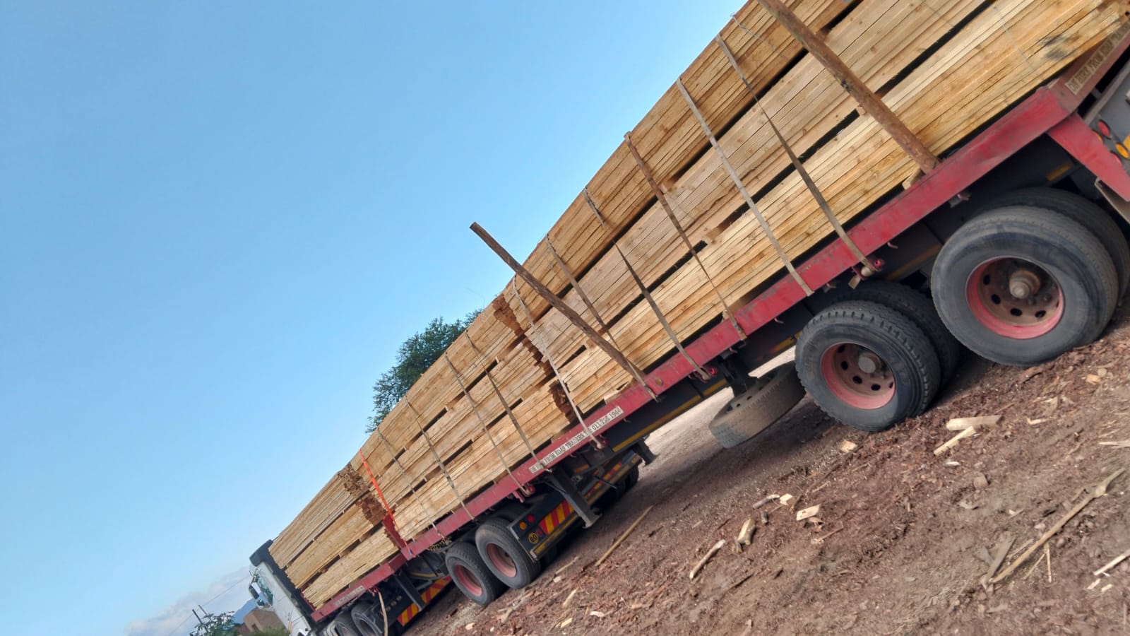 Timber at the yard — photo 36