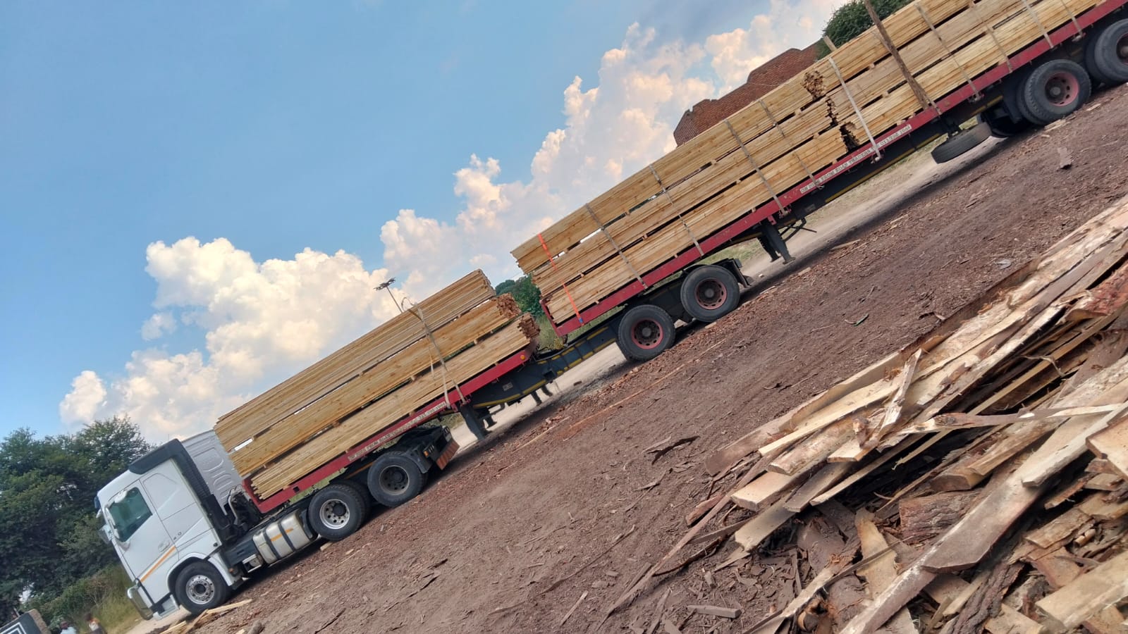 Timber at the yard — photo 37