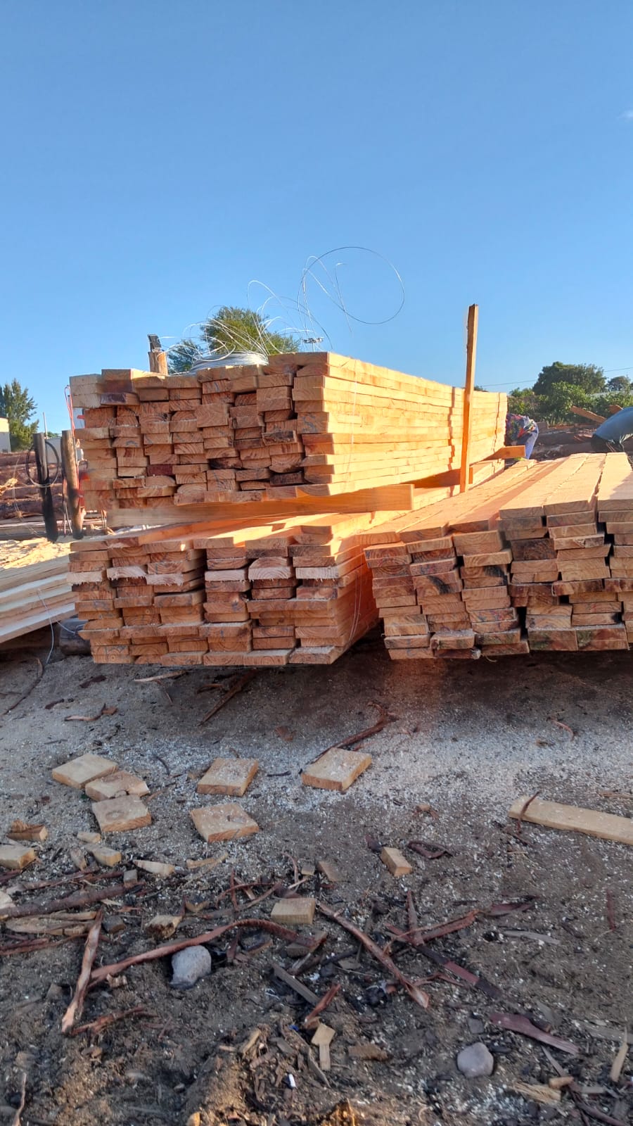 Timber at the yard — photo 39
