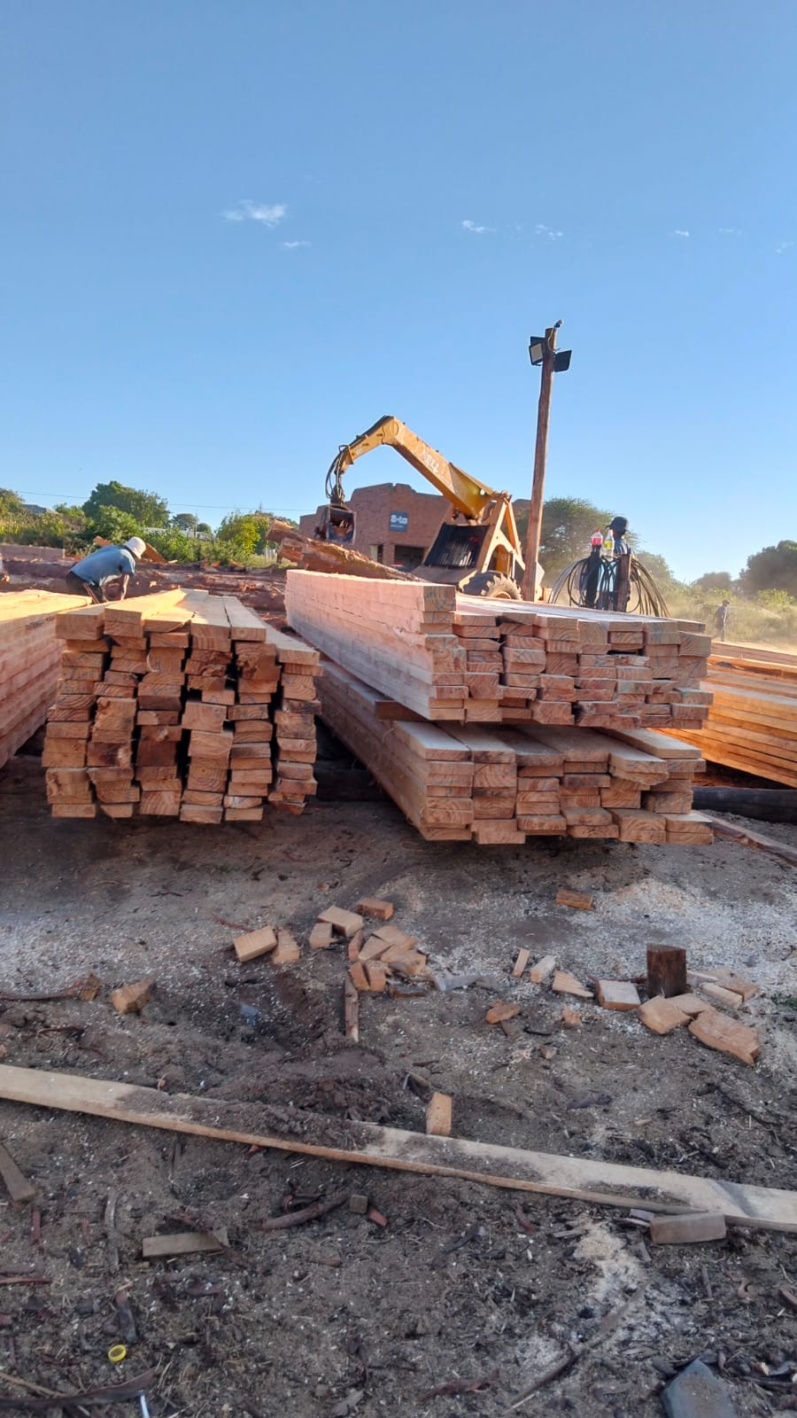 Timber at the yard — photo 40