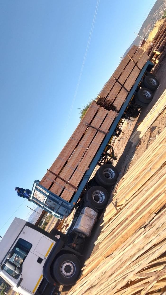 Timber at the yard — photo 41