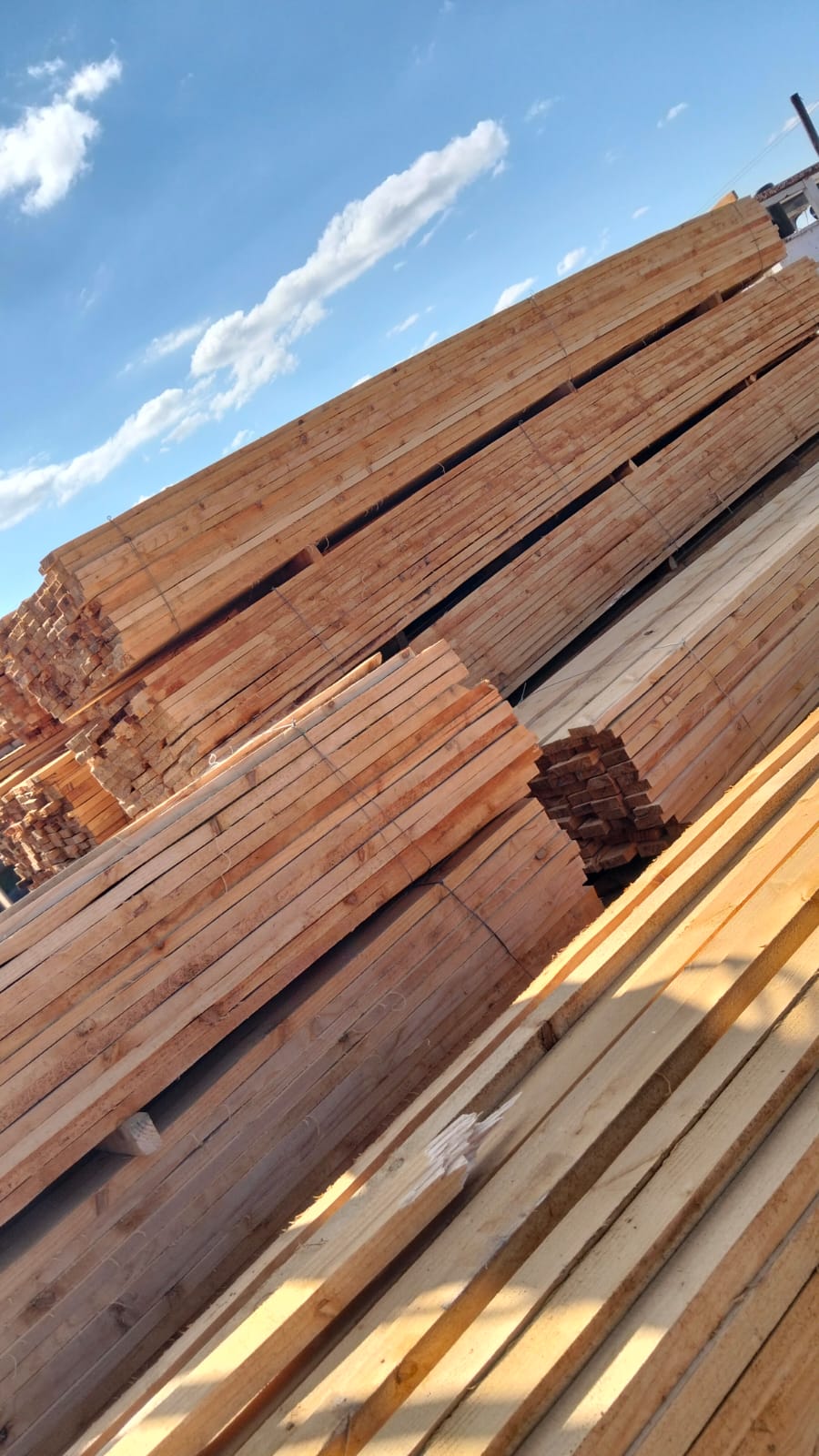 Timber at the yard — photo 42