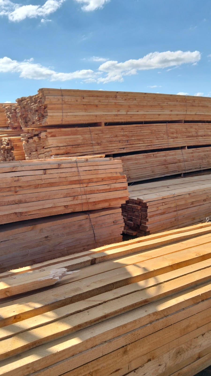 Timber at the yard — photo 46