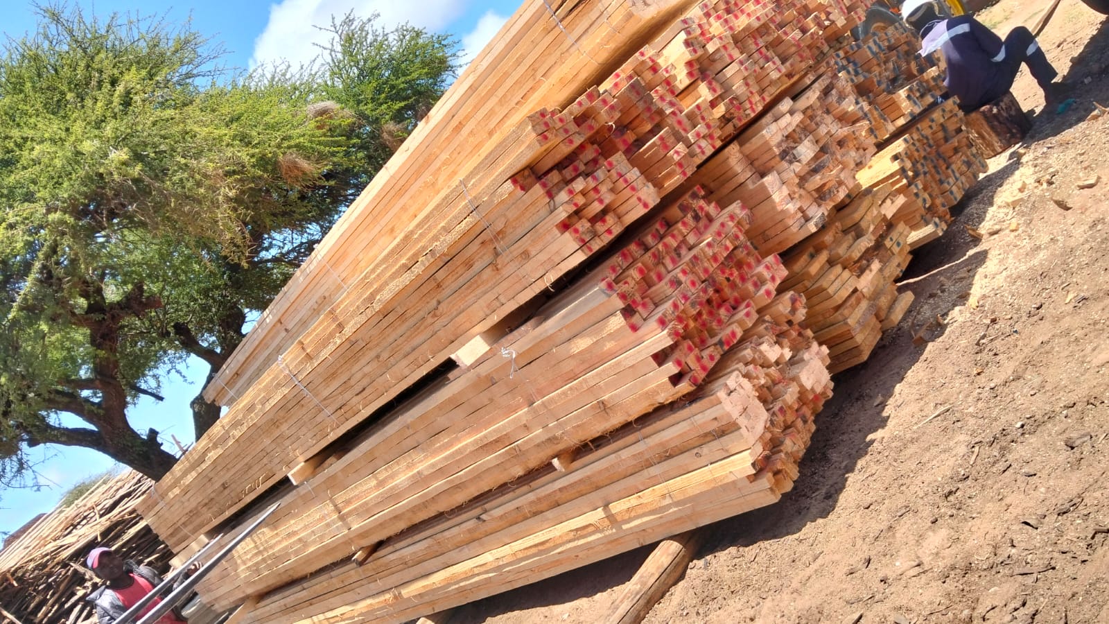 Timber at the yard — photo 47