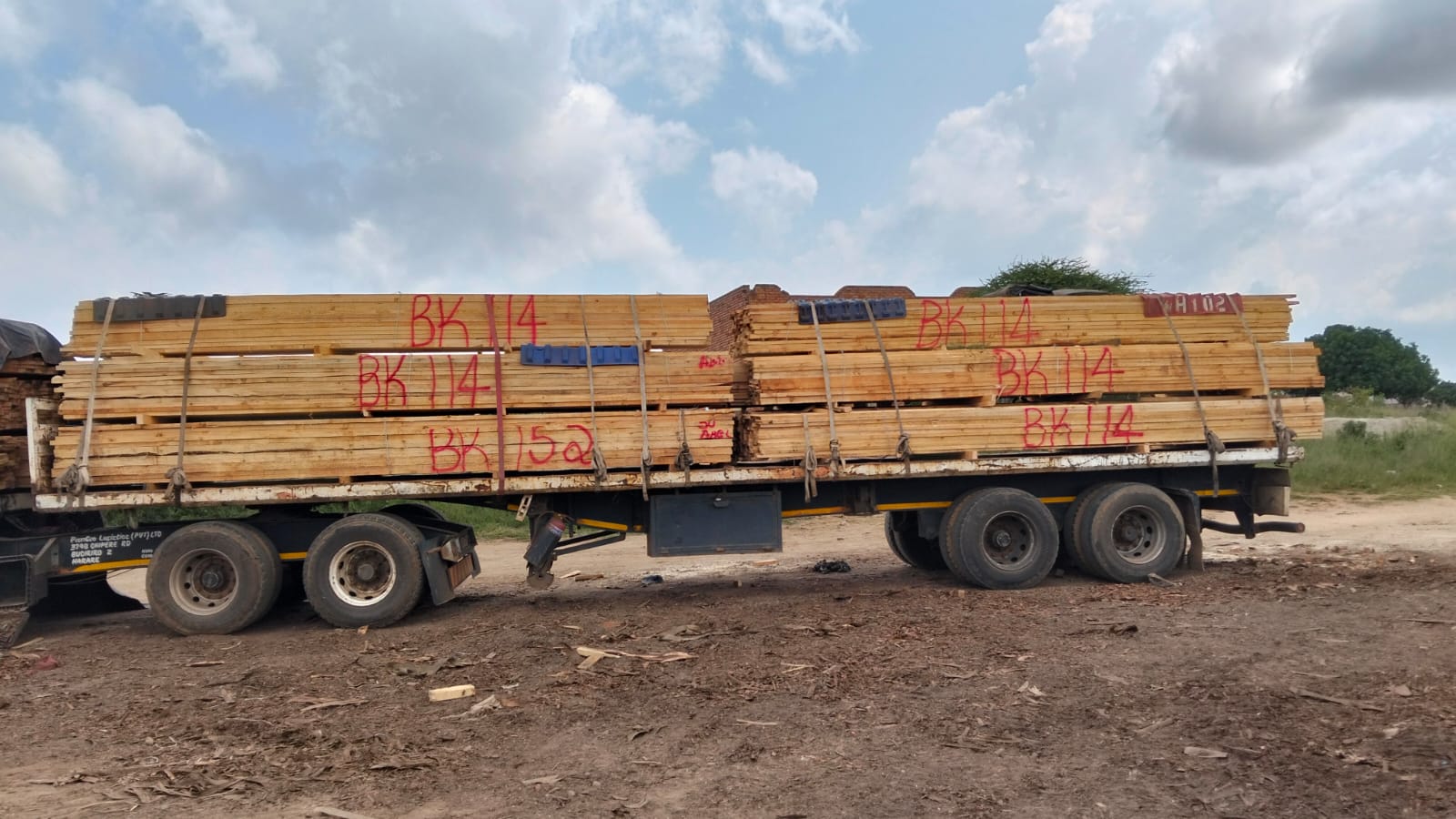 Timber at the yard — photo 50