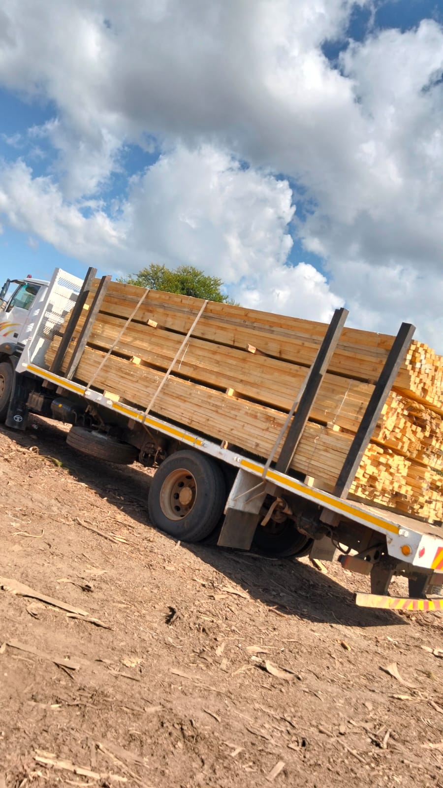 Timber at the yard — photo 52