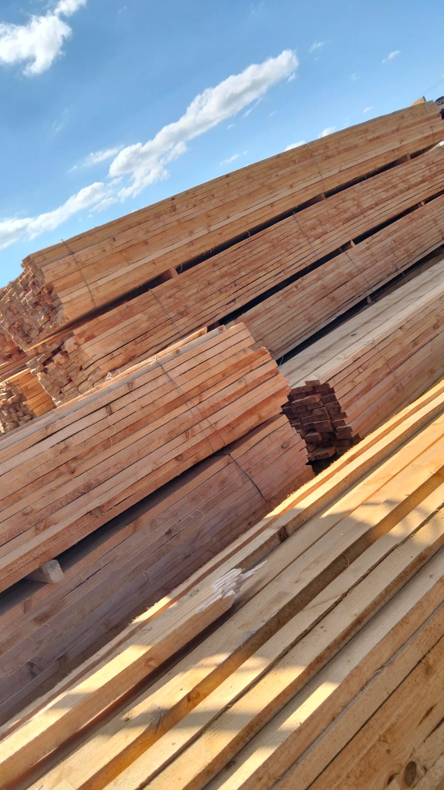 Timber at the yard — photo 53