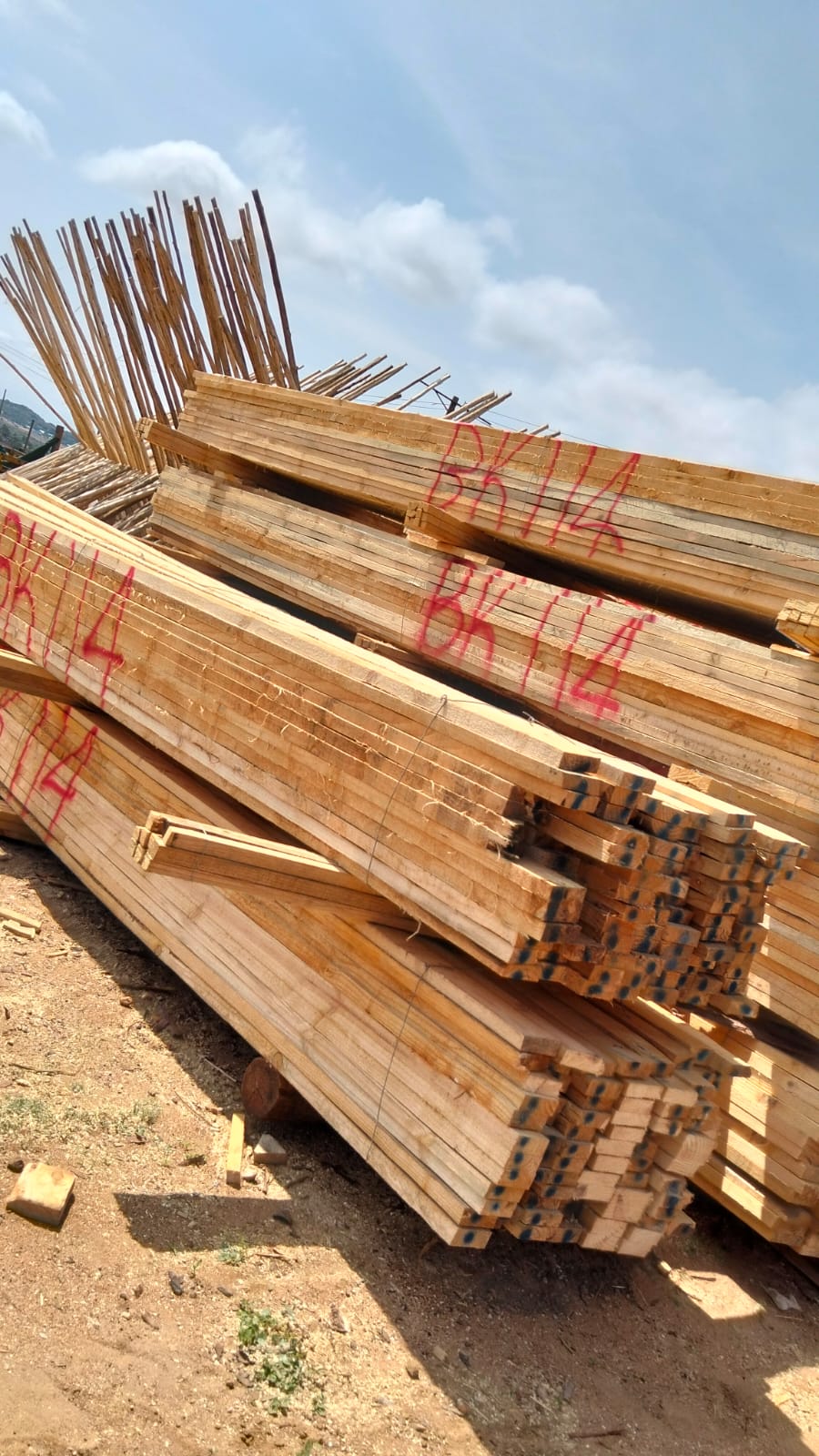 Timber at the yard — photo 54
