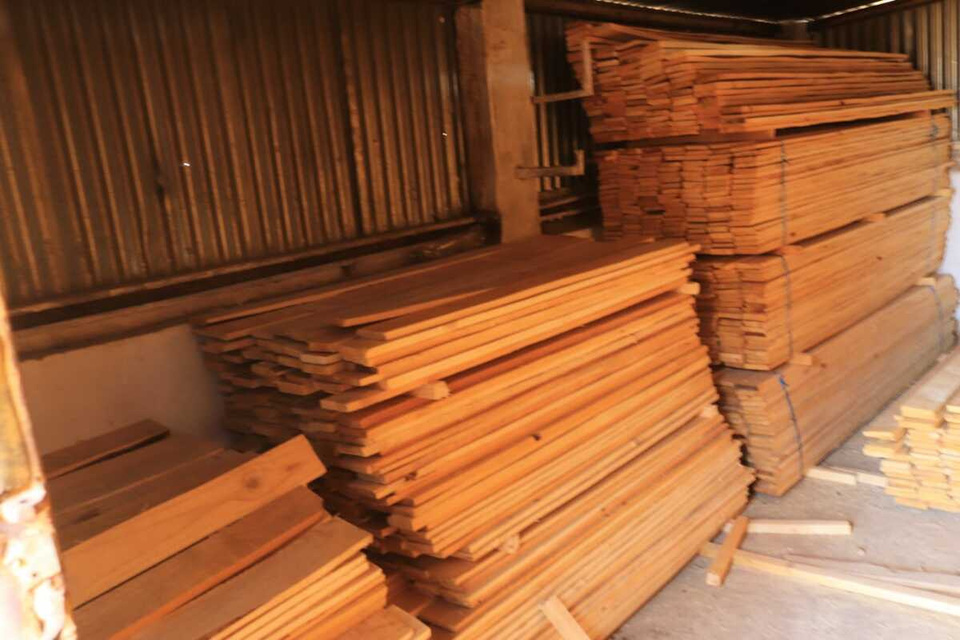 Cut timber stacked for supply